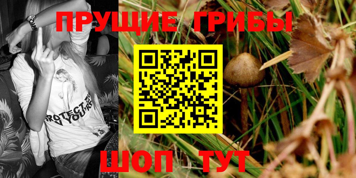 Владикавказ  Галлюциногенные грибы мицелий  Вход с VPN 