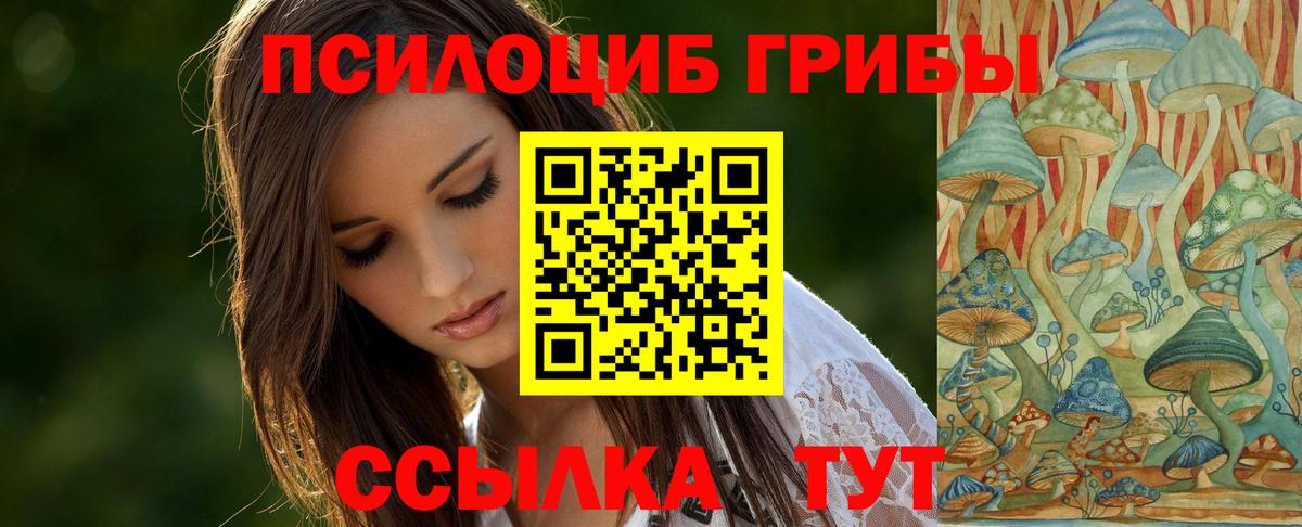 Галлюциногенные грибы Magic Shrooms Владикавказ